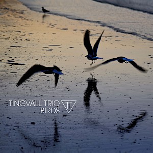 Neues Album mit Tingvall Trio